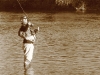 img_2984 img_2984